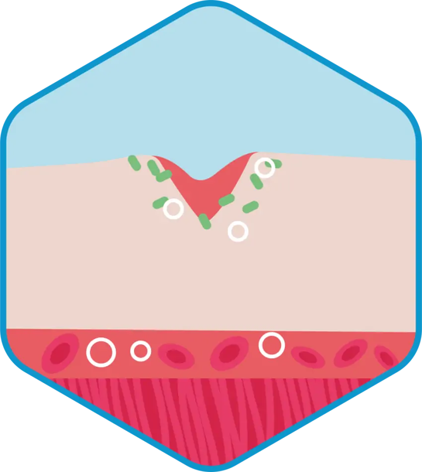 biomimetic-e1711441373259