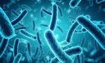 carbapenemase-producing-enterobacterales