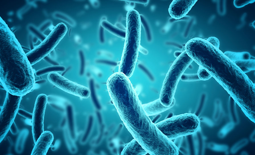 carbapenemase-producing-enterobacterales